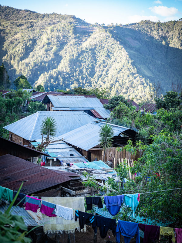 coffee women Indigenous Guatemala