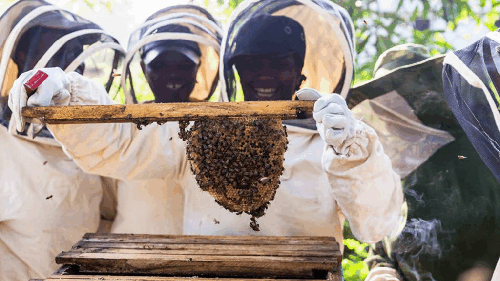 A woman from Zanzibar stands holding a beehive honey comb. She is a solar engineer, trained through Barefoot College International's livelihoods programme as a beekeeper.