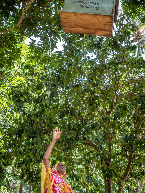 beekeeper africa zanzibar barefoot college women