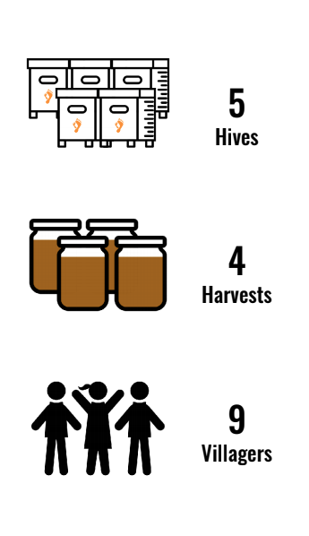 beekeeper africa zanzibar barefoot college international honey