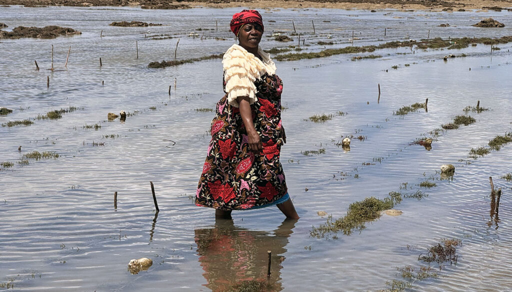 blue economy boosts economic opportunity